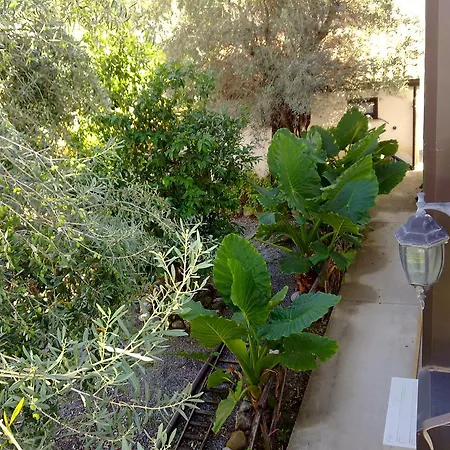 Agriturismo Fragole E Lamponi