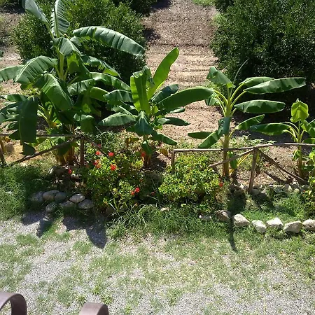 Agriturismo Fragole E Lamponi Séjour à la ferme Bovalino Marina